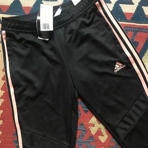 Adidas Tiro 19 Training Pants